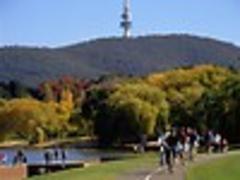 Lib job cuts a risk for landlords