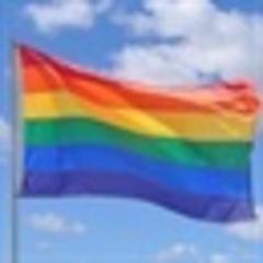 Brazil panel gives nod to 'cure' gays